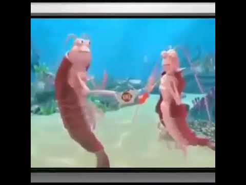 popcorn-shrimp-meme