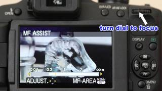 Panasonic FZ100 manual focus mode demonstrated screenshot 5