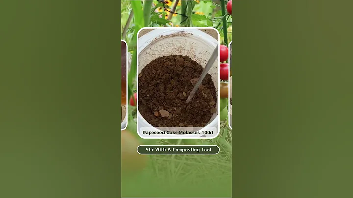 “DIY Fertilizer: The Secret to a Healthy and Productive Garden"