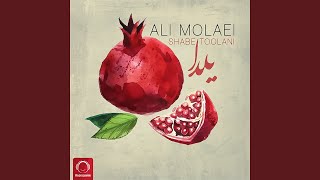 Video thumbnail of "Ali Molaei - Shabe Toolani"