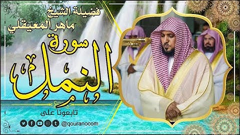 سورة النمل لفضيلة الشيخ ماهر المعيقلي 🌹 القرأن الكريم