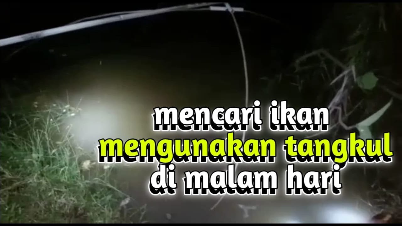 MECARI IKAN MENGGUNAKAN TANGKUL