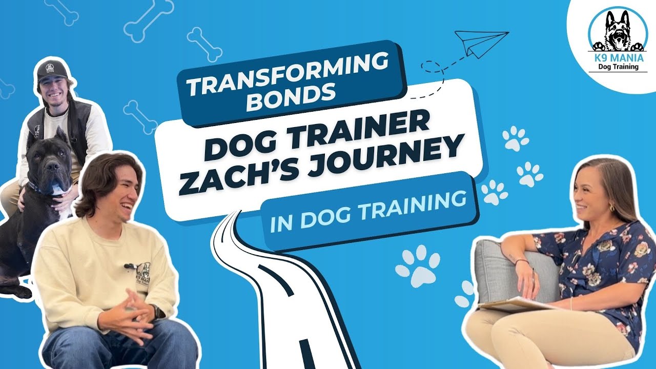 Transforming Bonds: Dog trainer Zach's Journey in Dog Training