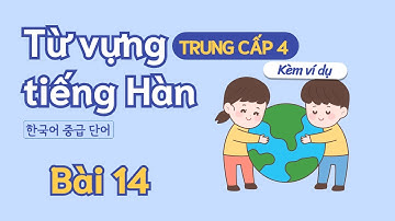 Từ vựng tiếng Hàn trung cấp 4 - Bài 14 | Đọc dịch song ngữ