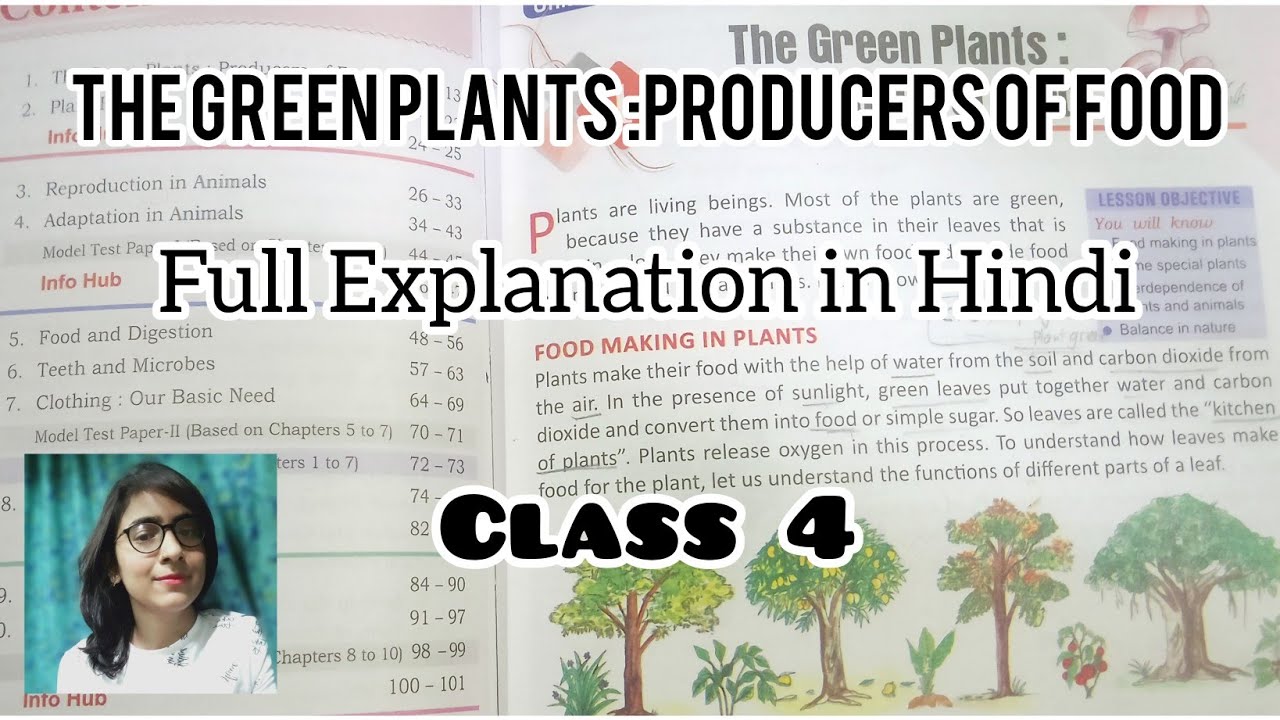 The Green Plants: Producers Of Food ll class 4 ll chapter 1 ll Science ...