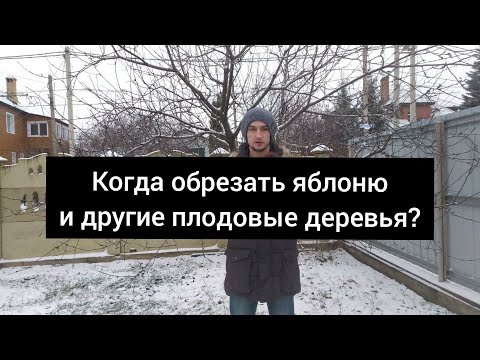 Сроки обрезки яблони и других плодовых деревьев.