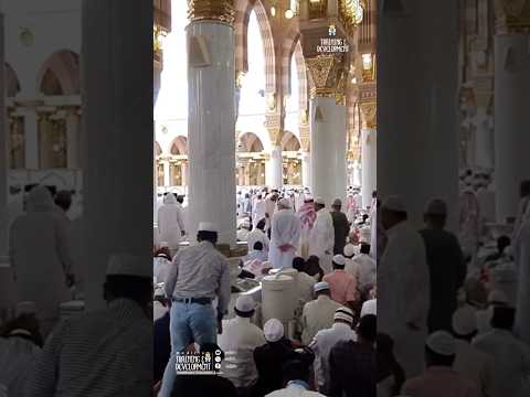 تغريد على العجم طيبه المدينة المنورة     صوت