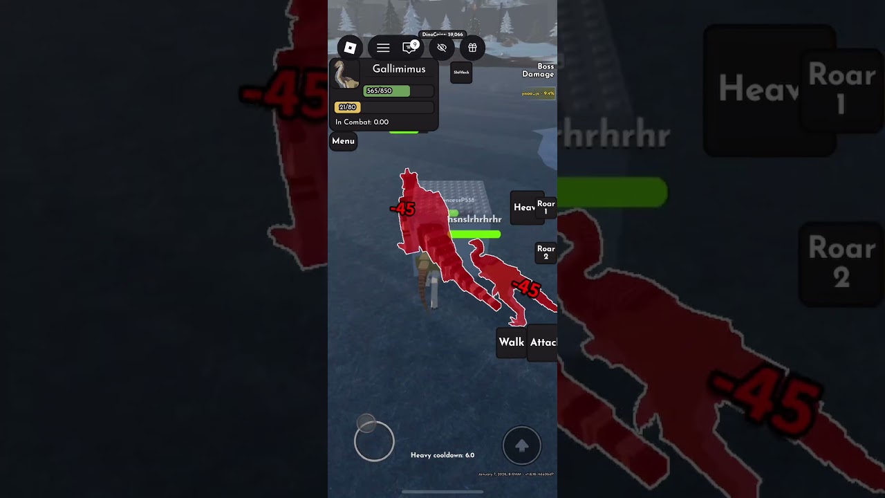 Galli run