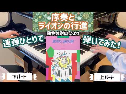 【連弾】序奏とライオンの行進「動物の謝肉祭」より / サン•サーンス作曲　各パートのみの動画付き
