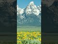 Teton Mountains   The Most Dramatic Peaks in the USA 2 1