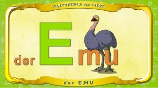 Multipedia Der Tiere. Buchstabe E - Der Emu