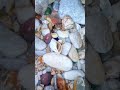 The Hidden Truth Behind "Pre-Cut" Beach Gems #beach #crystals #oceanpearl #satisfying