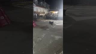 21 marzo especial Benavent en quatretonda