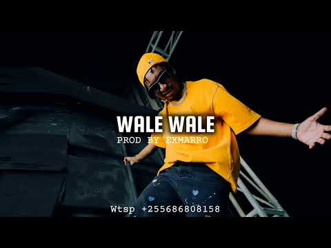 Jaymelody X Founder Tz WALE WALE Bongo Fleva Beat X Afro Zouk Instrumental Type Beat 2024