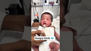 hungry boy #hungry #newbornbaby #newborn #viralvideo#youtubeshorts #ytshorts #Baby #nicu #pregnancy