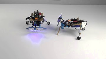 Fighting Cat and Dog Built with Makeblock