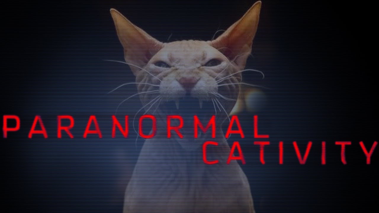 Paranormal Cativity