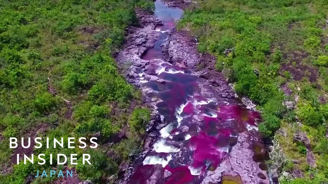 コロンビアにある世界で最も美しい虹色の川 Youtube