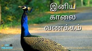 Iniya kaalai vanakkam இனிய காலை வணக்கம் Good morning in tamil HD