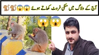 Monkey 🐒🐒 😱😱etny sary monky #vloger #firstvlog #youtuber #dailyvloge #funny #funnycomedy #funnyreel 