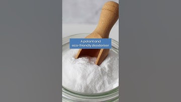 Do Your Bins Smell Bad? Try This CLEANING HACK! | Cleaning Tips #short