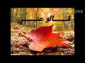 قــــــالو عـني