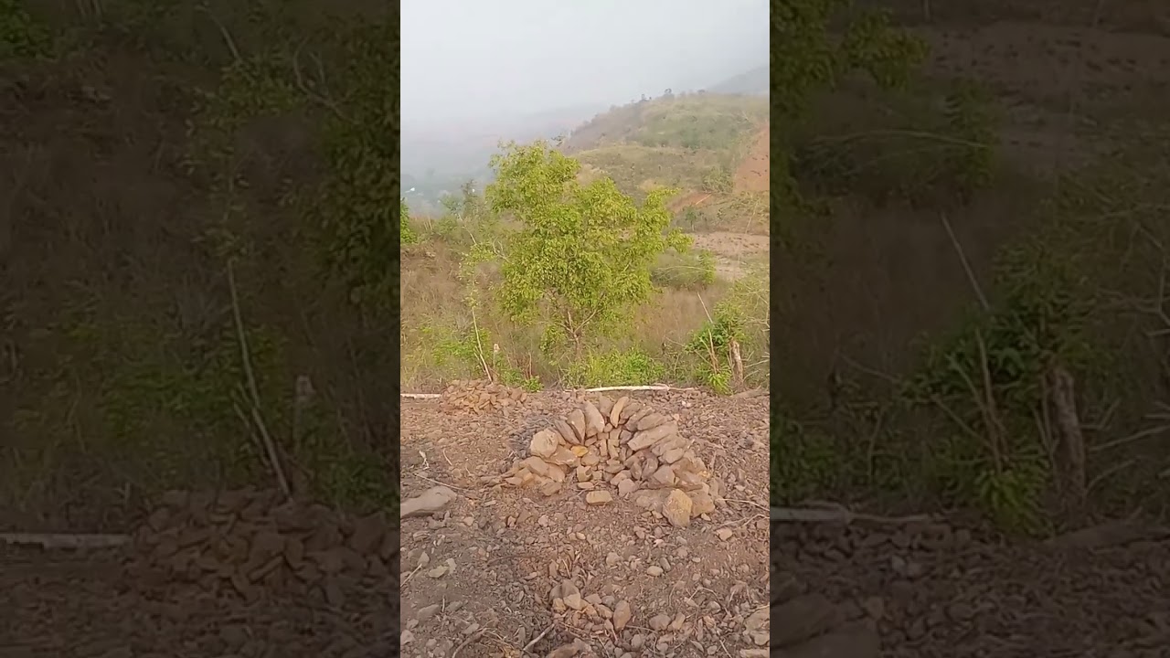 There are so many stones that I don't know when I will pick them all up