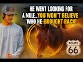 He Went Looking for a Mule… But Came Back With THIS 😳🐎