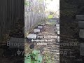Второй этап установки фундамента под хозблок #хозблок #фундаментподхозблок #фундаментизшлакоблоков