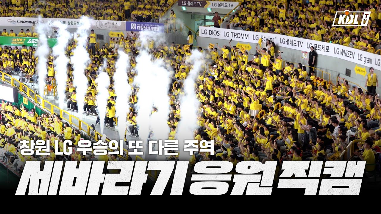 창원 LG 우승의 또다른 주역, 챔피언결정전 세바라기 응원 직캠🌻
