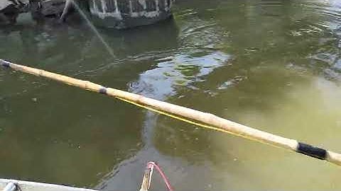 Nâng cấp máy kích cá rô phi tổng hợp LH 0362921480