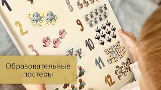 Образовательные постеры 6 шт