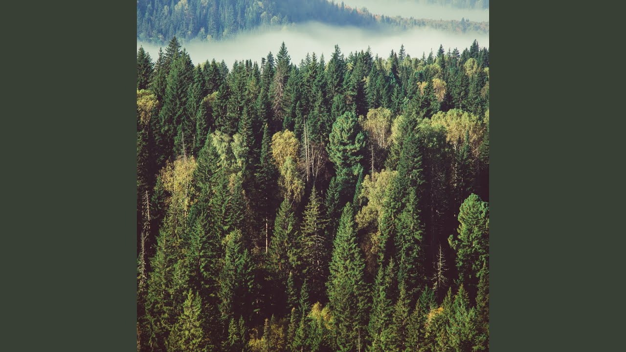 Flying Songs YouTube