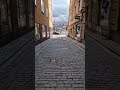 Stockholm #music #remix #edm #alanwalker #electronicmusic #citywalk #automobile #birdsong