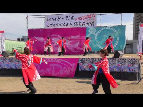 「鬼岩ちんどん」あんたもどーだんはずかしがらんと踊らん会2016