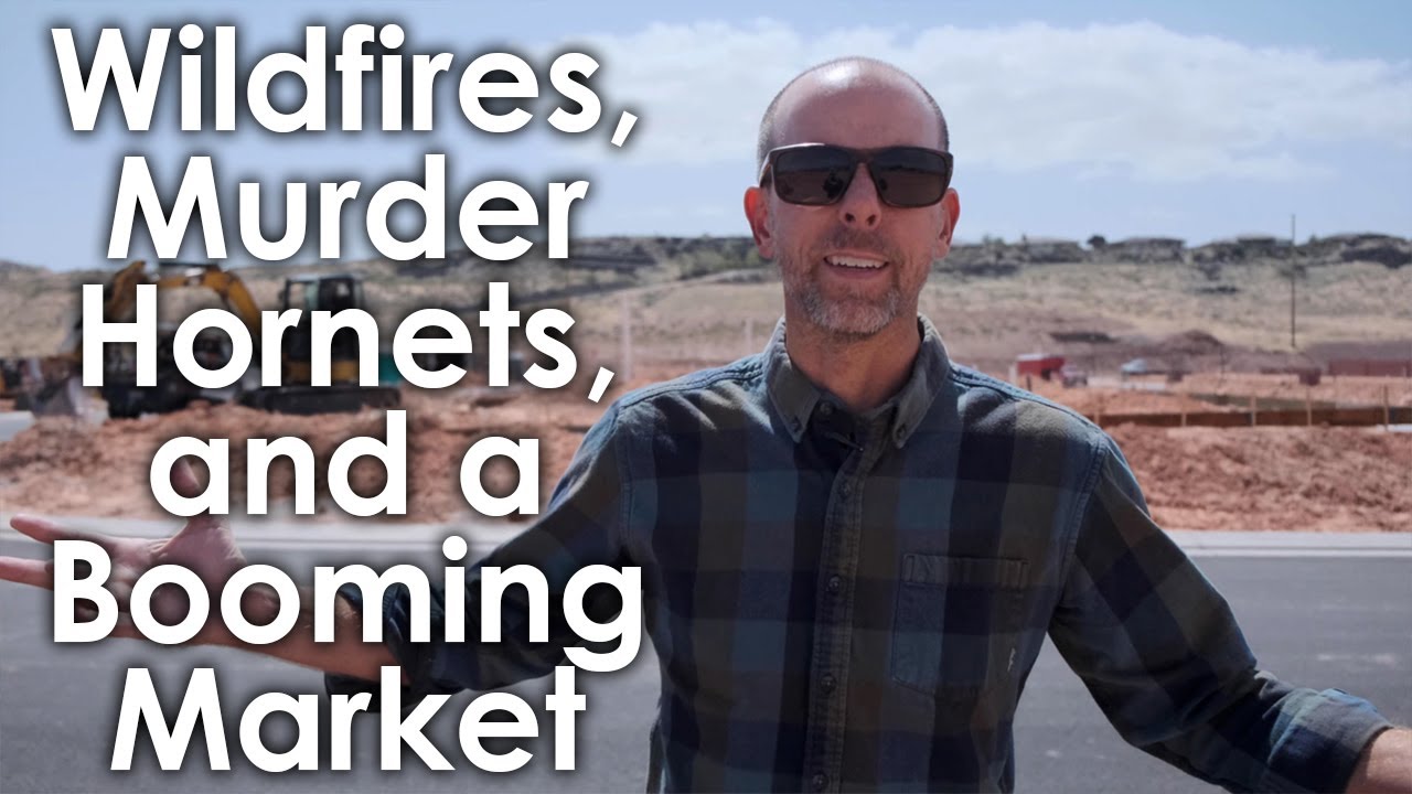 St. George Home Values Increase $40,000 - where are people coming from?