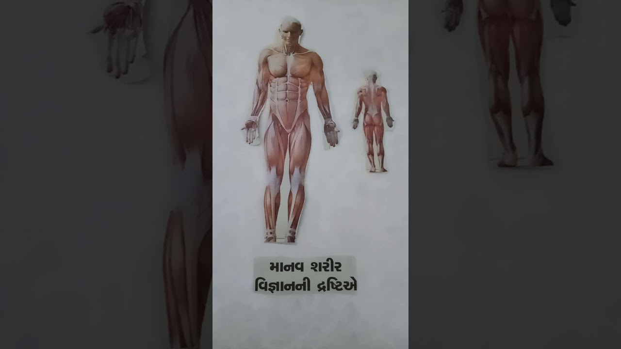 Man Body according to Science - YouTube