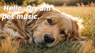 [playlist] 강아지 힐링 음악🐶 - 심리안정 음악ㅣ강아지가 행복해지는 음악 Pet Music