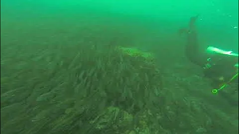 f3a0884d 9bc8 4e06 839e c0398b78d670