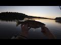 Catching Fish at Sunset!