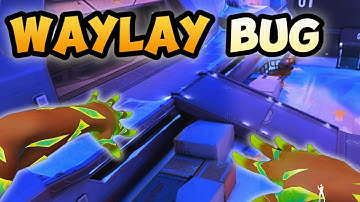 WAYLAY BUG ON ICEBOX