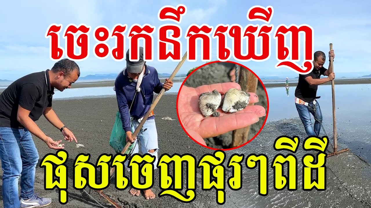 ចេះរកនឹកឃើញ ផុសចេញផុរៗពីដី មួយថ្ងៃរាប់គីឡូ