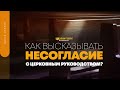 Как высказывать несогласие с церковным руководством? | "Библия говорит" | 1513