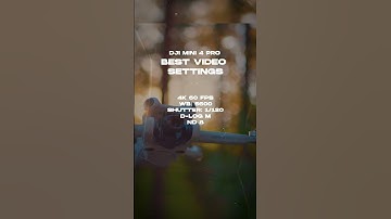 Mini 4 Pro Cheat Sheet ✌️