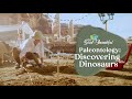 Fossil Discovery and Excavation Quiz