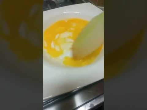 بورسلين فتحي محمود