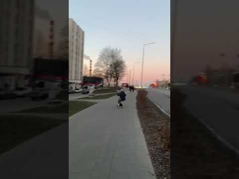 Автобусы Белгорода (2023)