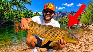 Fishing A Remote Desert River to Catch BIG FISH