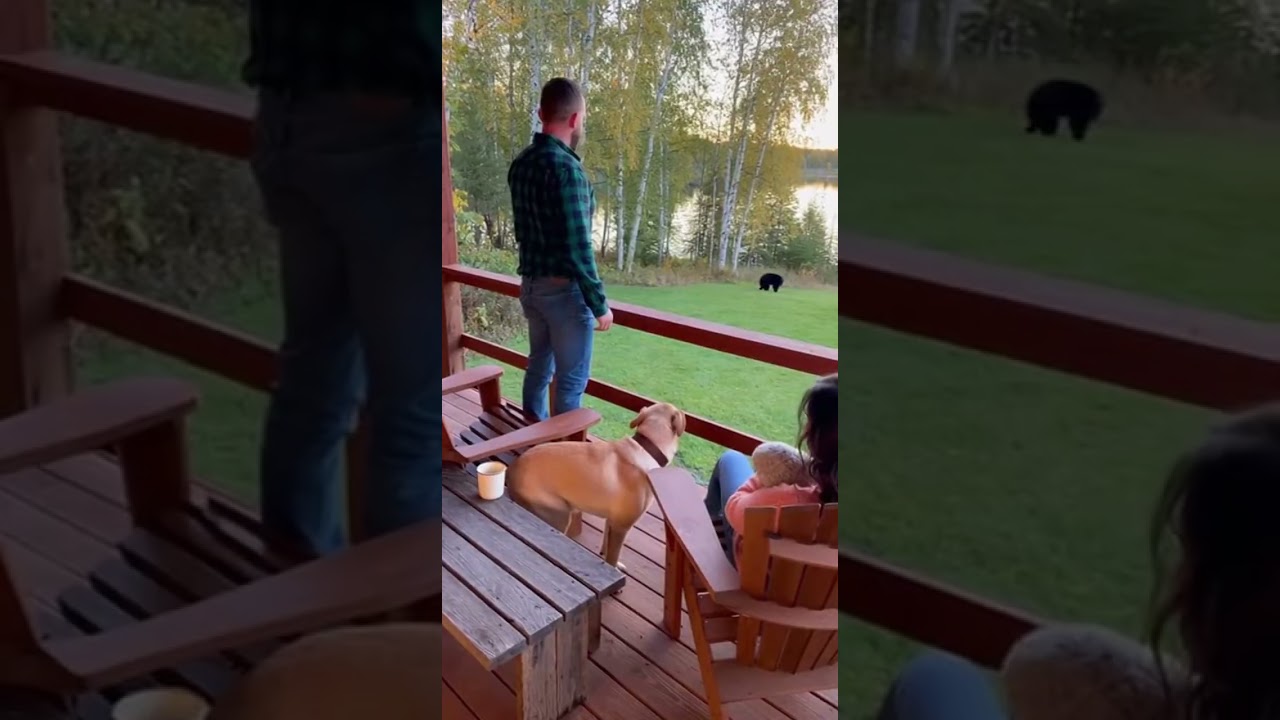 Doorbell Camera Catches Dog Protects Family Saving Home From Intruders