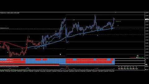 Forex Holy Grail USDCAD Live Performance!!!